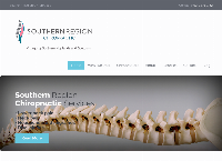 Southern Region Chiropractic's website