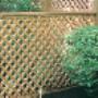 Uploaded by visitor on 17/8/2015 - Lattice Framing