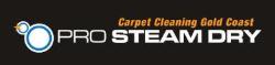 Pro Steam Dry