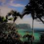 Uploaded by visitor on 15/3/2017 - Lord Howe Island Yoga Holidays