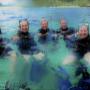 Uploaded by visitor on 15/3/2017 - Lord Howe Island Yoga Holidays