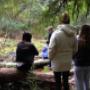 Uploaded by visitor on 15/3/2017 - Springbrook Mountain Yoga Retreats Qld