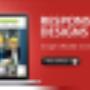 Website Designing