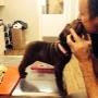 South Eastern Vet - Veterinary Hospital Clayton
