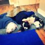 South Eastern Vet - Veterinary Hospital Clayton