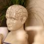 Naturally Balanced Therapies