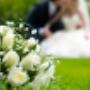 flowers package