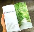 Brochure Printing