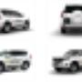 Large 4WD