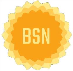 Brisbane Solar Needs