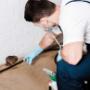 Rodent Removal
