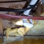 building inspection Hobart