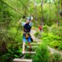 high ropes bridge