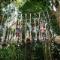 Kids-doing-high-ropes