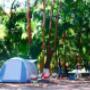 Uploaded by visitor on 25/1/2016 - Camping in the Hinterland