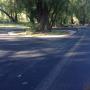Bitumen repairs in Mandurah