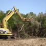 Mangrove clearing & removal