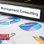 MANAGEMENT CONSULTING