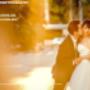 foxphoto9