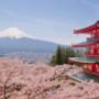 Japan Explorer