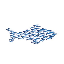 Small Fish Business Coaching