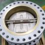 Dual Plate Check Valve