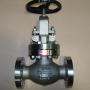 Globe Valve