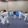 IKGA Sydney Seminar 2015 Day 2