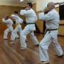 Kata Practise at the Kincumber Dojo
