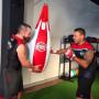 Arena Fitness mma - Striking