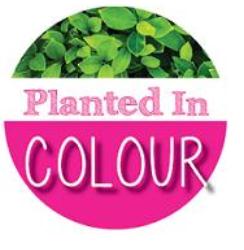 Planted In Colour