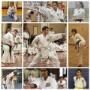 First Taekwondo Perth WA 4578