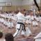 Master-Low-teaching-2017