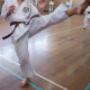 Uploaded by visitor on 15/2/2017 - First Tae Kwon Do Perth WA - snap kick