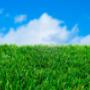 Perth Artificial Grass Service