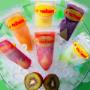 Sinchies Popsicle Pouch