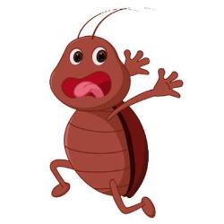 Run Away Bugs Pest Control