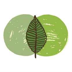 Melbourne Combined Natural Therapies