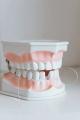 10 Useful Tips to Eat Your Food with Dentures
