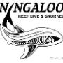 Uploaded by visitor on 23/1/2018 - Ningaloo Reef Dive
