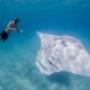 Uploaded by visitor on 23/1/2018 - Ningaloo Reef Dive