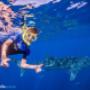 Uploaded by visitor on 23/1/2018 - Ningaloo Reef Dive