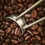 roasted coffee bean