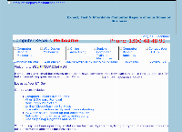 YOUR IT GUY's website