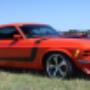 mustang wedding cars