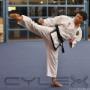 Uploaded by visitor on 10/8/2016 - First Taekwondo Canning Vale 8