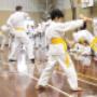 Uploaded by visitor on 19/5/2017 - First Taekwondo Perth WA