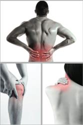 Oz Physiotherapy