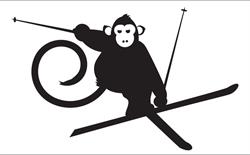 Snow Monkey Collingwood