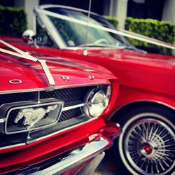 Sydney Mustangs Wedding Cars - ABN 95 368 229 033